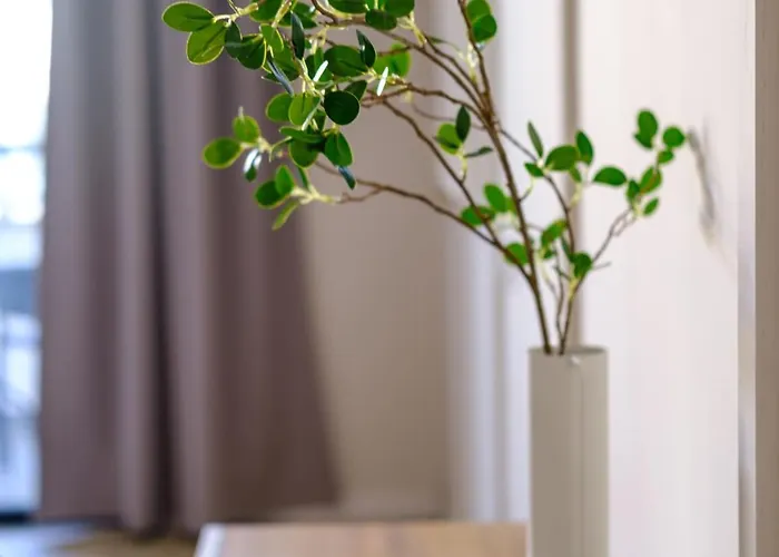 情趣酒店 Ct 尼科西亚